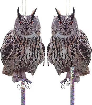 Pigeon Deterrent Bird Scarers For Gardens Plastic Pictures Pigeon Scarer Owl • £6.95