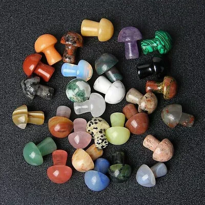 10 Pcs Natural Mini Mix Mushroom Sculpting Skull Quartz Crystal Reiki Healing • $7.99