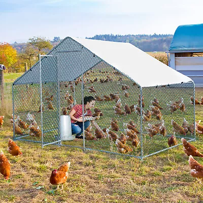 Large Chicken Run Walk In Coop Poultry Cage Galvanized Metal Hen House 3x2x2m UK • £129.99
