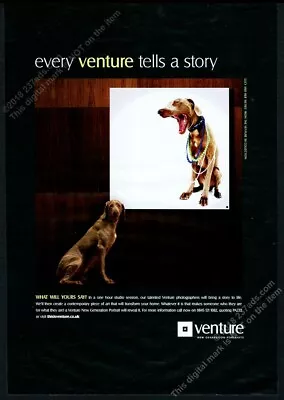 2008 Vizsla Dog Photo Venture Portraits London Vintage Print Ad • $9.99