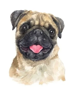 £2.79 • Buy PUG DOG A4  POSTER.  POP Graffiti Art Home OfficeART MADE IN THE UK