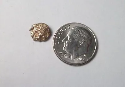 Natural Placer Gold Nugget .72 Grams Alaska Gold Low Starting Bid • $45.36