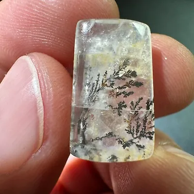 8.6ct Natural Beautiful Mica Tree  Crystal Polished Specimen • $3.99