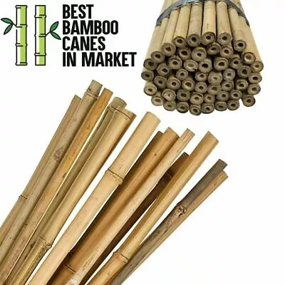 2FT/8FT Quality Bamboo Sticks Garden Canes Pack Strong Plant Support Thick Stake • £14.97