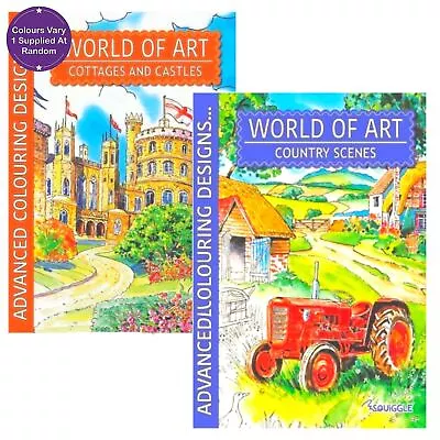 World Of Art Castle & Country Colouring Books Assorted • £5.45