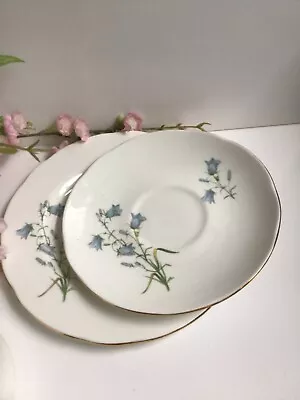 Sadler Wellington Bluebell  Side Plate And Saucers Vintage • £6