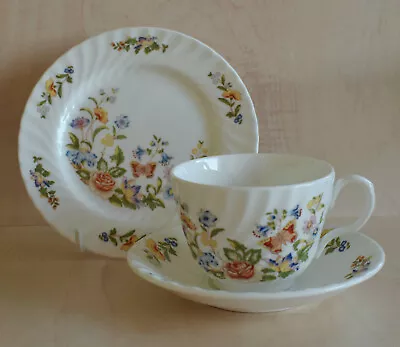 Aynsley England Cottage Garden Cup Saucer And Plate Trio - B • £8