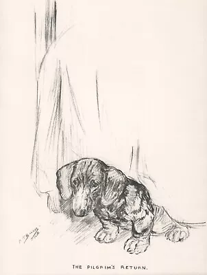 DACHSHUND LOVELY VINTAGE 1937 DOG ART PRINT PAGE By KF BARKER • $9.93