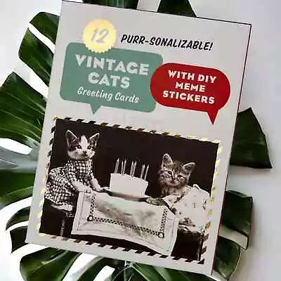 Vintage Cats Greeting Cards Notecard Boxed Gift Set With Envelopes Stickers • $18
