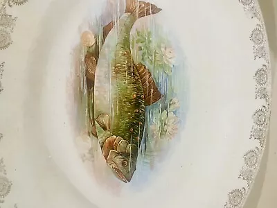 Antique Large Royal Austria Porcelain Fish Platter By O&EG Early 20th Century • $30