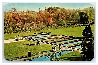 Allentown PA Postcard - Fish Hatchery Lehigh Parkway - Unposted • $7.69