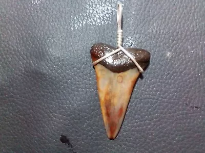 Beautiful Colorful 1.78 Mako Sharks Tooth Pendant With Sterling Hand Wrap Silve • $20.99