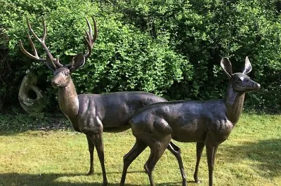 Stag & Doe Family Cast Aluminium Life Size Bronze Finish Deer Stag Garden Set • £1973.13