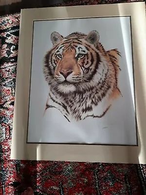 VtG Guy Coheleach Unframed Art  SIBERAN HUNTER Signed With A COA. • $40