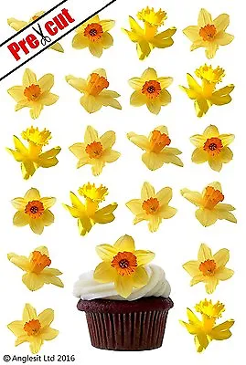 24 X Pre-cut Daffodil Flowers Edible Wafer Cup Cake Topper Birthday Decorations • £4.19