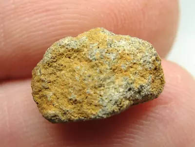 NWA 7401 Enstatite EL-melt Chondrite Meteorite - G244-0291 - 0.83g COA - AsFound • $0.99