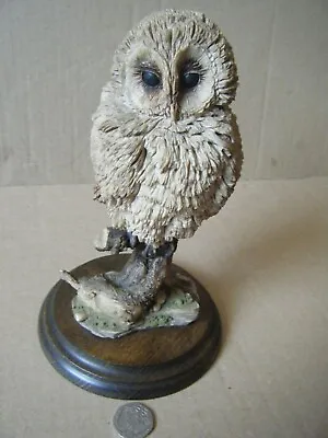 Vintage Country Artists  BABY TAWNY OWL . By Richard Cooper & Co. Unboxed • £12.99