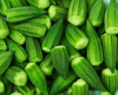 Blondy Okra Seeds | Heirloom & Non-GMO | Fresh Vegetable Seeds • $2.50