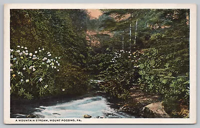 Mt Pocono PA Pennsylvania - A Mountain Stream - Monroe County - Postcard 1920's • $4.95