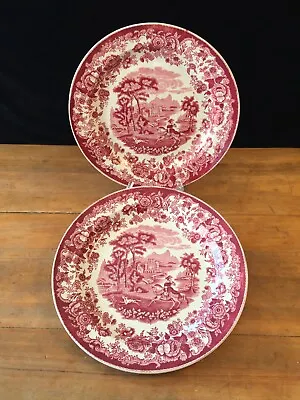 Pair Of RED & WHITE TRANSFER 18th C Plates AMAZONE Maastricht Petrus Regout • $32
