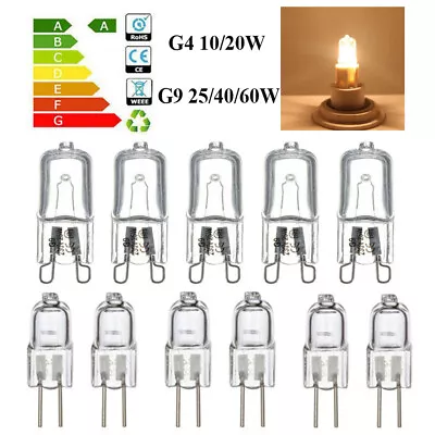 10x G4 G9 Halogen Capsule Light Bulbs Replace LED Lamp 12V 10W/20W/25W/40W/60W • £3.35