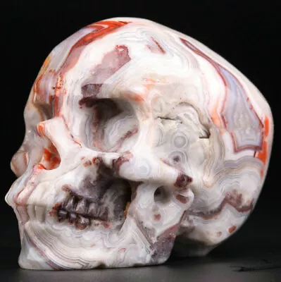 2.0  Mexico Crazy Lace Agate Carved Crystal Skull Realistic Crystal Healing • $0.99