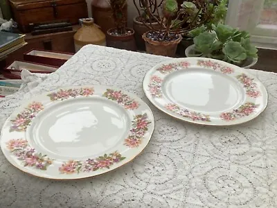 Colclough Wayside Pair Of 10 1/2'' Dinner Plates (Lot 2) • £10