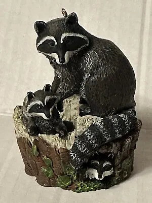 1999 Curious Raccoons Majestic Wilderness Series # 3 Hallmark Keepsake Ornament • $9.50