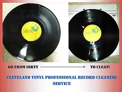 Professional Record Cleaning Service Ultrasonic Machine Cleaned+VPI 10 Records • $42.75
