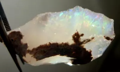 38.28ct Mexican Precious Contra Luz Opal Facet Rough With Color Play SPECIAL • $59.99