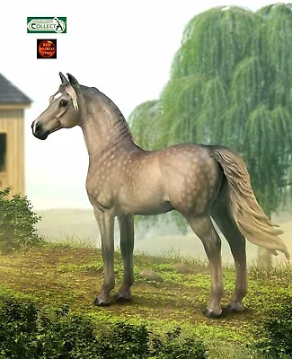 Morgan Silver Grulla Grey Stallion Horse Toy Model Figure By CollectA 88979 • £13.75