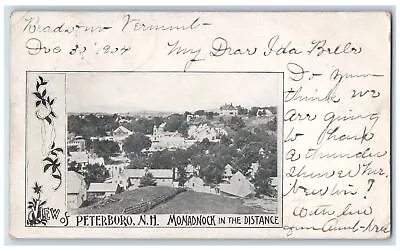 1904 Monadnock In The Distance Peterboro New Hampshire NH Unposted Tree Postcard • $14.98