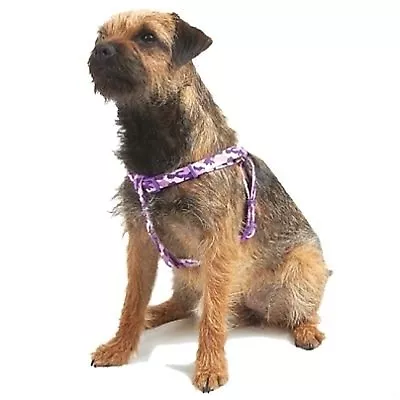 Colour Urban Camouflage Dog Harness Small - Size 1-2 • £8.75