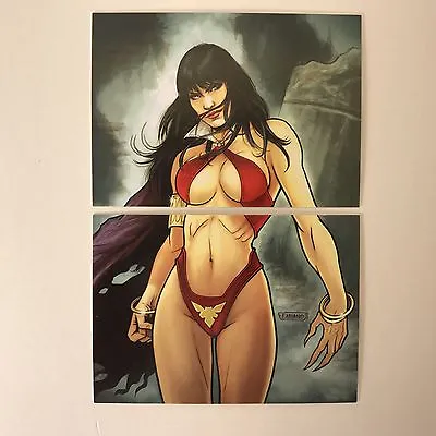 CHEAP PROMO CARD: VAMPIRELLA SERIES 2 (Breygent 2012) WONDERCON Puzzles • $5.50