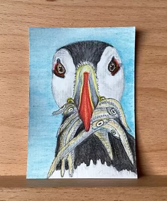 ACEO Original Bird Painting By D.Townsend  Puffin • £2.50