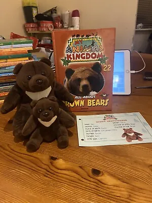 My Animal Kingdom: All About Brown Bears 2 Toys Hard Book Certificate Inc. • £8.50