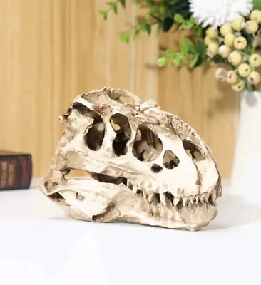 Dinosaur T-Rex Skull Resin Fossil Model Replica Decoration Craft (16 X 8.5cm) • £15