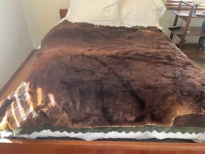 Antique Horse Hide Pony Rug Sleigh Blanket 5 Feet X 4.5 Feet • $175