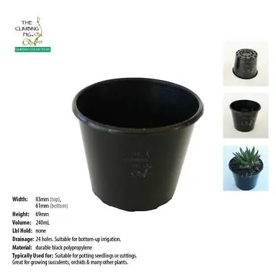 $24.90 • Buy 80mm Squat BLACK Plastic Pots. For Potting Succulents Orchids Seedling Plant