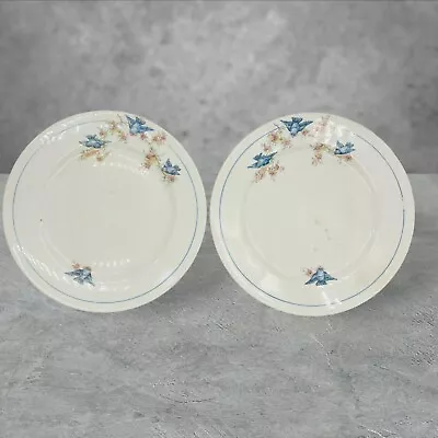 Antique Crown Potteries Bluebird Dinner 9  Plate LOT Of 2 Plates • $59.99