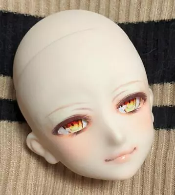 Volks DDH-25 Custom Head Only Dollfie Dream Hobby Toy Parts Collection • $315.02