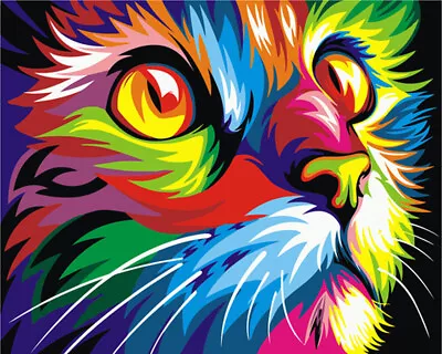 Paint By Numbers - COLOURFUL CAT 40x50cm - AU Stock Same Day Shipping • $39