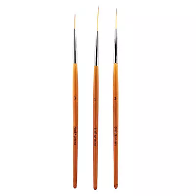 3Pcs Nail Art Liner Brush Set For Fine Details And Patterns ETZ • $12.34