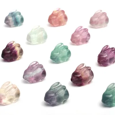 Natural Mini Fluorite Carving Animals Stone Quartz Crystal Healing Decor Reiki • £3.35