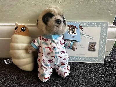 Compare The Market Meerkat - Baby Oleg With Certificate • £2