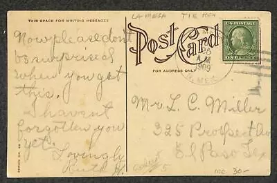 Usa #331 Stamp La Mesa New Mexico Type 1 Territory Roses Postcard 1909 • $19.95