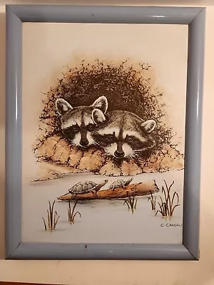 Vintage C. Carson Painting. Raccoons Watching Turtles. Framed 16 ×12  Signed • $75