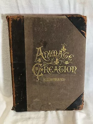 Animate Creation Illus. Vol IV (birds) J.G.Wood 1898 By Selmar Hess NYC 306pg • $85.79