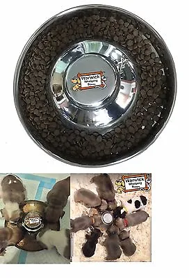 £24.99 • Buy Puppy Weaning Bowl Feeding Saucer Whelping Bowl Weaning Litter Of Puppies 