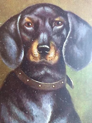 Vintage Postcard. Alfred Schönian Dachshund Dog Art. Series No. 3055 (N5) • $9.73